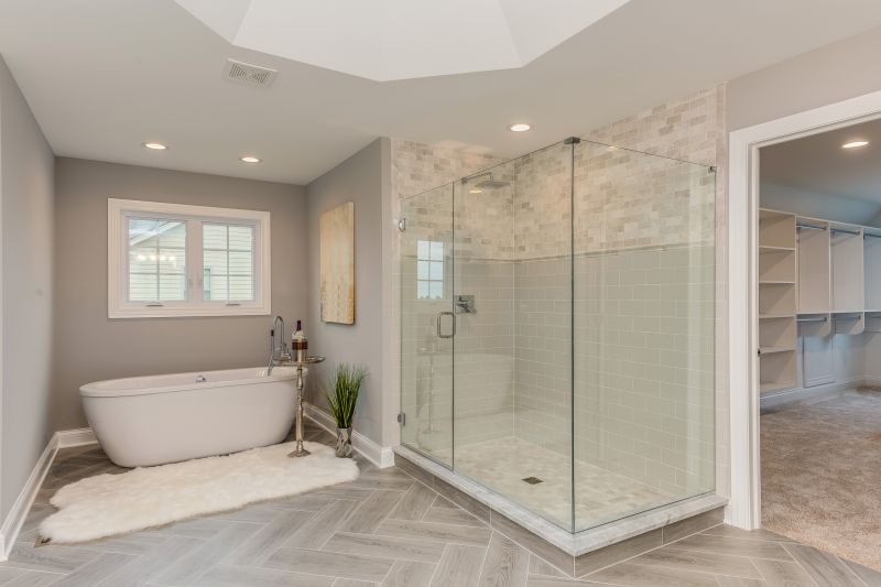 Shower Renovation Ideas
